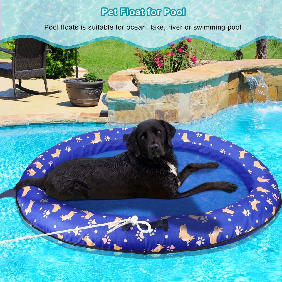 Dog Swimming Best Inflatable Pool For Dogs TantivyBo Foldable Dog