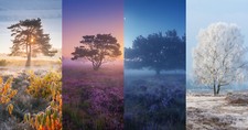 Landscape nature winter snow trees spring summer fall Custom Gaming Mat Desk