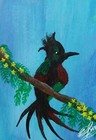 ACEO Original Acrylic Painting TROPICAL BIRD Miniature Art Card New