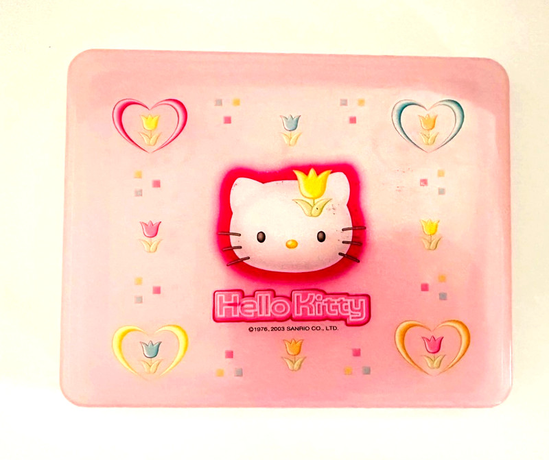 Sanrio Hello Kitty Vintage Plastic case 8"x 6"x 1"  Kawaii Rare Pre-owned