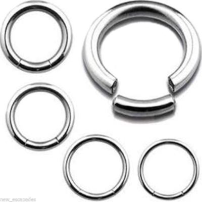 Segment Captive Lip Ring 14 Gauge 3/8'' Titanium Grade 23 *