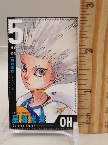 Korai Hoshiumi Haikyu Volleyball Trading Card Japanese Anime Z419 - Picture 2 of 3