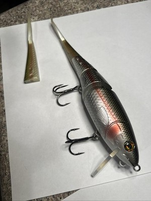 SU × RAGO D3 Rainbow trout SU DRT