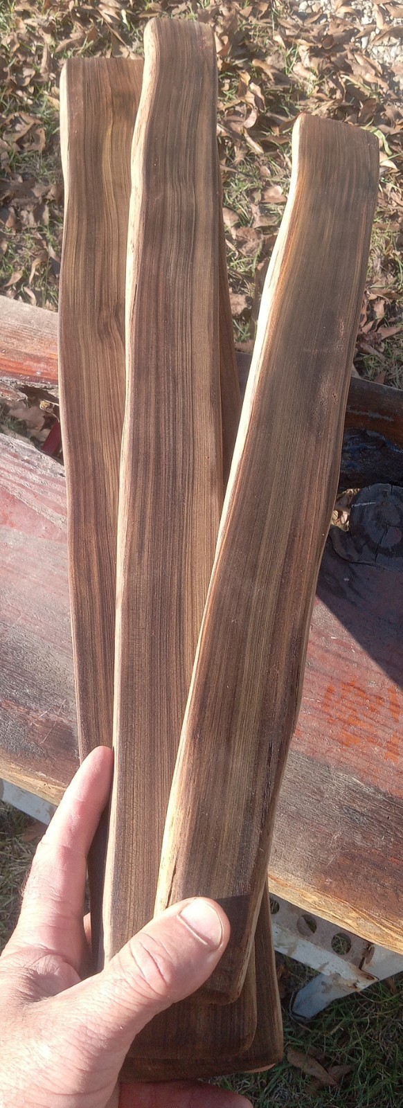 3 Pc Value Pack Quartersawn REAL Louisiana Sinker Cypress Craft Wood Tight Grain