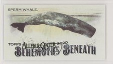 2020 Topps Allen & Ginter's Behemoths Beneath Minis Sperm Whale #MGB-5 2ra