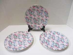 Shelley Summer Glory | eBay
