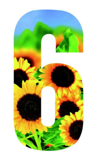 2er-Pack Wheely Mülleimer Nummern 0-9 Sonnenblume wetterfest Aufkleber Wheelybin Mülleimer - Bild 7 von 20