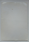 Picture 13 of 13