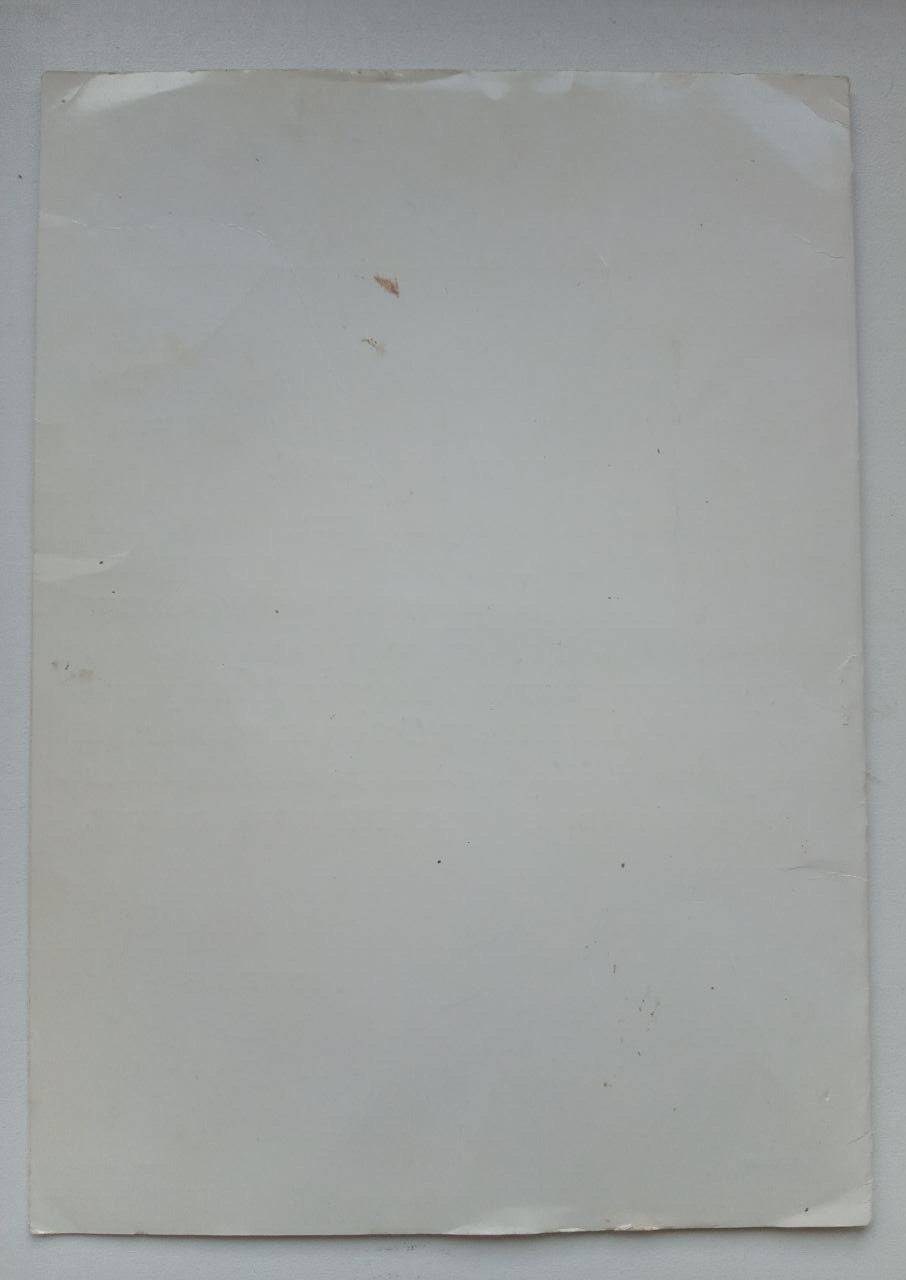 Picture 13 of 13