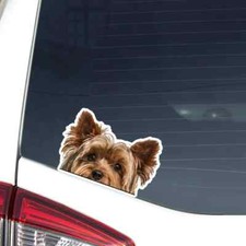 Yorkshire Terrier Car Sticker / Peeker Real Yorkie Head Vinyl Waterproof Decal