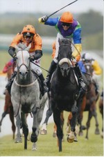 JIM CROWLEY ILLUSTRIOUS BLUE HAND SIGNED 6X4 PHOTO.