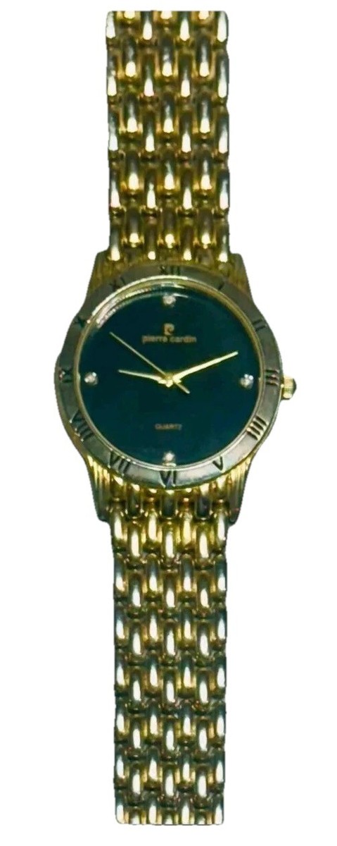 Pierre Cardin Men's Quartz Watch Gold Tone Roman Dial Japan 2199Y