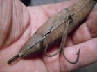 Vintage UNKNOWN Lure 7 3/16 '' Rubber glass eyes — photo 6