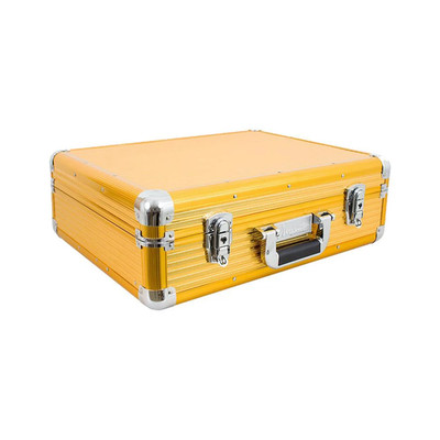 Vincent - Large Mastercase Gold (VT10142-GD)