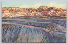 Painted Desert Blue Forest Arizona Postcard Evening Shadows Curteich Linen