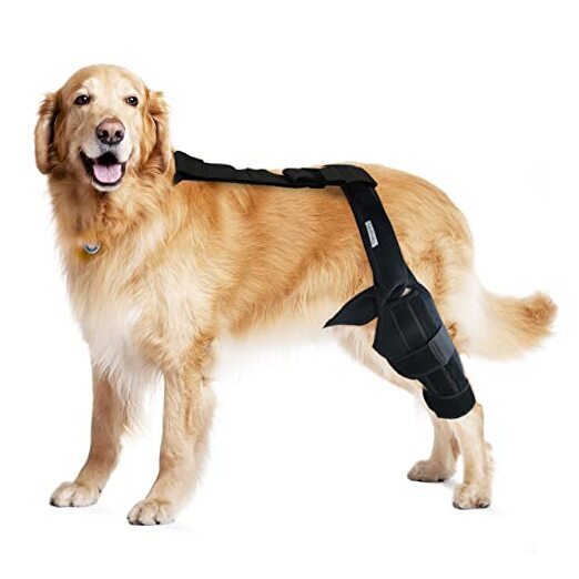Dog Knee Brace, Support for Large and Small Dogs with ACL, CCL