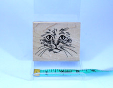 Stampendous V041 Curious Cat Face Stamp 2001 Feline Collection 3" x 2.5" Stamper