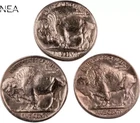 1935+1936+1937 Buffalo Nickel Lot ~ Borderline Uncirculated (AU+) ~~ 3 Coin Set