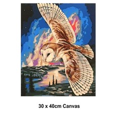 Paint by Numbers Art Craft Painting Kit 30x40 with Frame Canvas: FLYING OWL