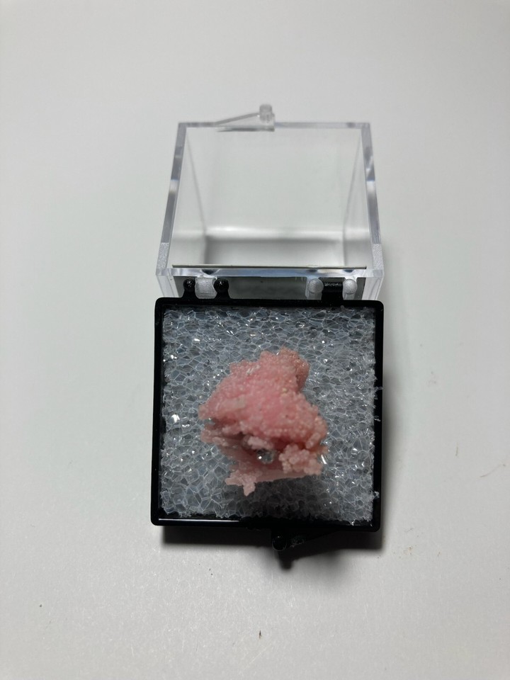 Kutnohorite vibrant pink crystal spray from South Africa eBay