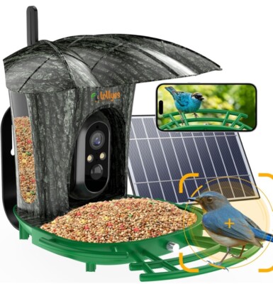 Smart Bird Feeder with Camera+7W Solar Panel,180°Wide View 1080P Auto Green