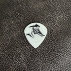Tarja - Alex Scholpp - Guitar Pick | eBay