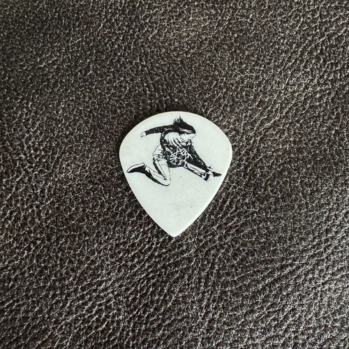 Tarja - Alex Scholpp - Guitar Pick | eBay