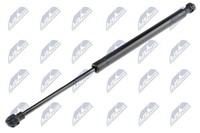 NTY AE-CT-017 Gasfeder FüR CitroËN, Heckklappe Kofferraum