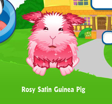 Webkinz Rosy Satin Guinea Pig Código de Adopción Virtual Solo Mensaje Webkinz Promoción!