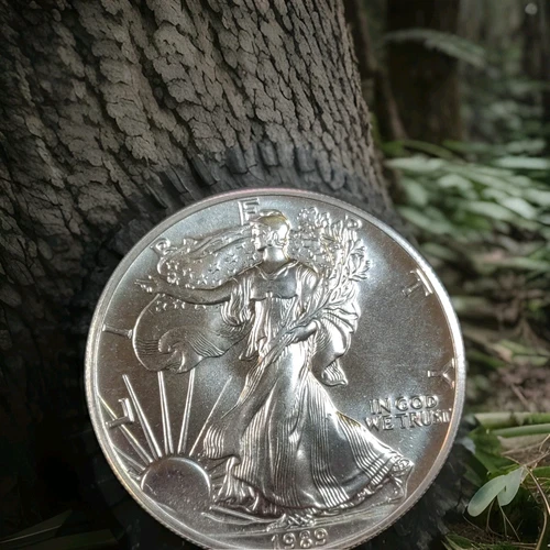 1989  SILVER EAGLE HOTTIE!! YOU'VE BEEN LOOKING FOR A GOOD ONE, HERE IT IS!