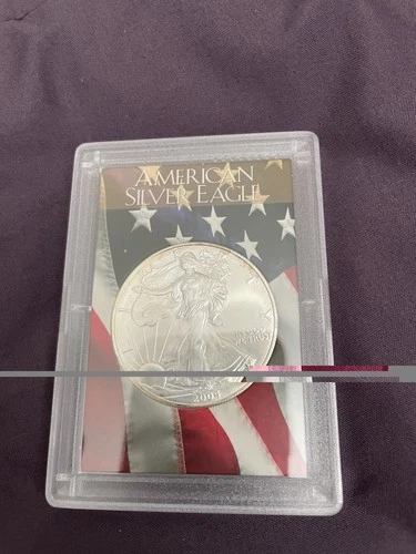 2004 Silver American Eagle $1 -Uncirculated - In Capsule