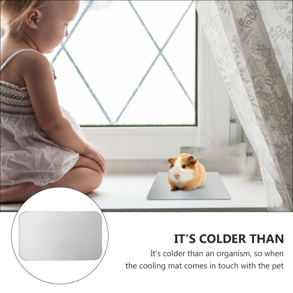 4 Pcs Hamster Cooling Mat Guinea Pig Cage Pad Small Animal Board eBay