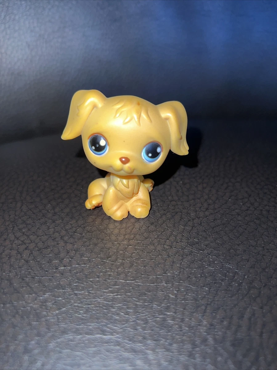 Pet shop golden retriever 2025