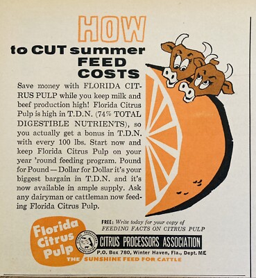 1961 AD.(XH75)~FLORIDA CITRUS PULP FOR CATTLE FEED, CITRUS PROCESSORS, FLA.