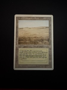 Magic The Gathering Savannah | eBay
