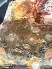 Orbicular Galaxy Rhyolite. Colorful. Nice! — photo 3