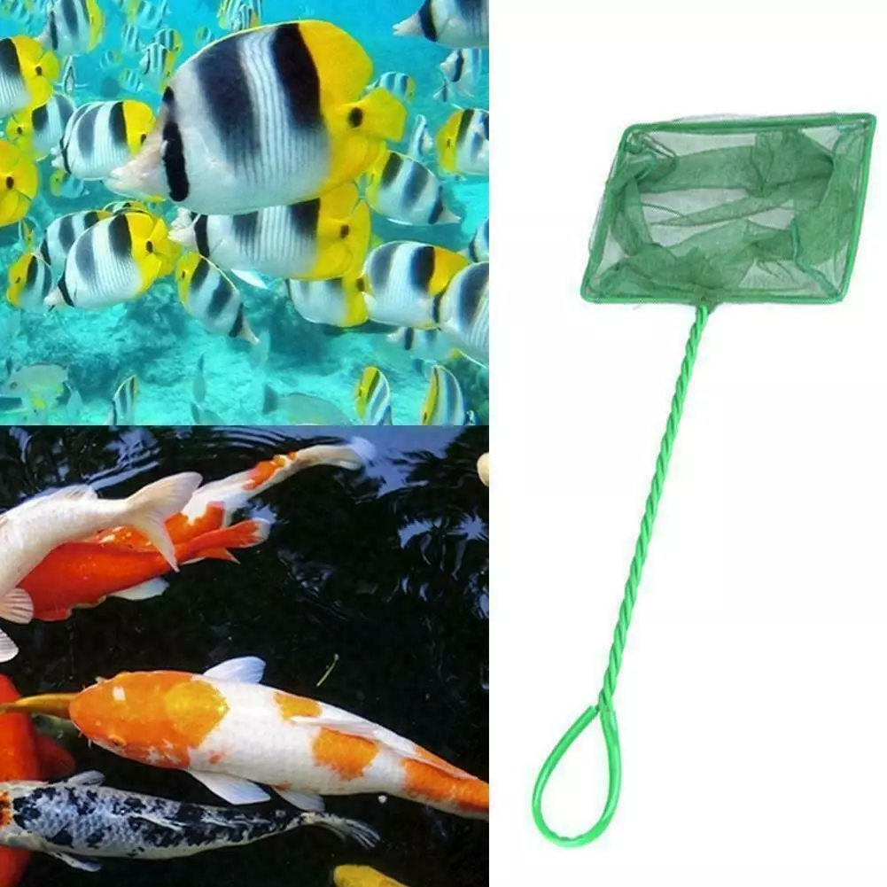 Aquarium Fish Tank 3" 5" 8" 10" 12" Safety Fish Net Cold Tropical Scoop Wat Hot | eBay Aquarium Fish Tank 3" 5" 8" 10" 12" Safety Fish Net Cold Tropical Scoop Wat Hot | Ebay