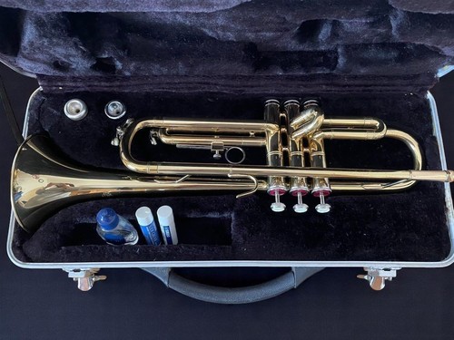 Golden Trumpet with Black Case, Mouthpiece, Valve Oil & Slide Grease Included