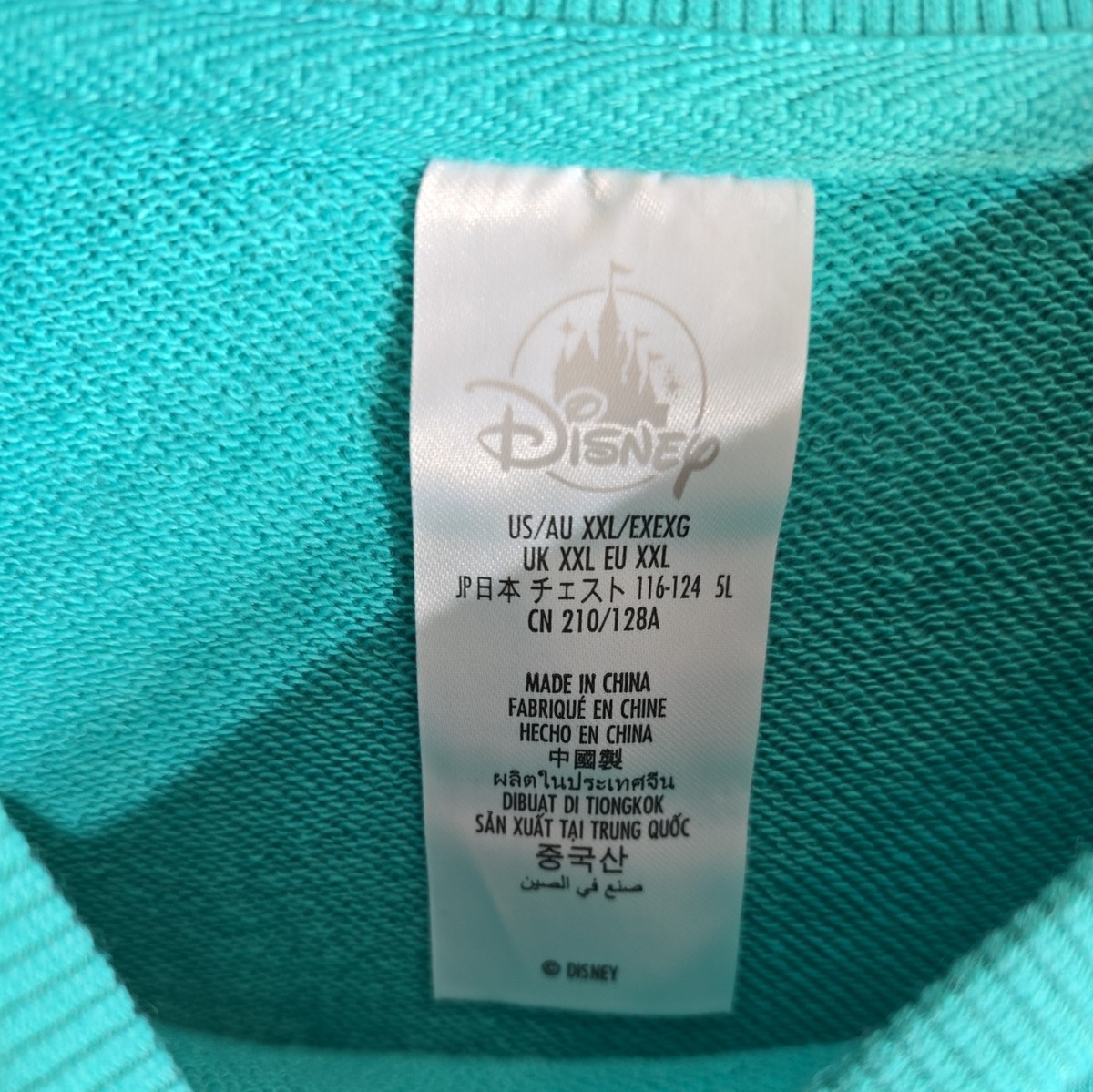 NWT Disney Parks Disneyland “D” Logo Adult xxl Pullover  display picture 2
