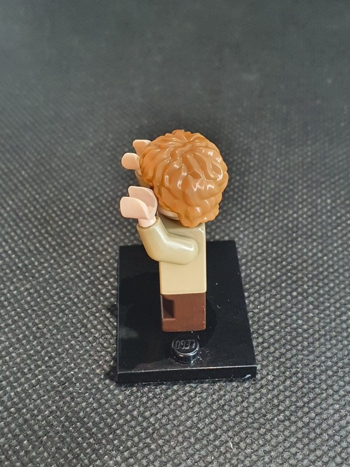 Lego LOTR Samwise Gamgee Minifigure | eBay Australia