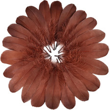 120Pcs Coffee Goose Feathers 6-8 Inch 15-20Cm Decorative Natural Goose Nagoire F