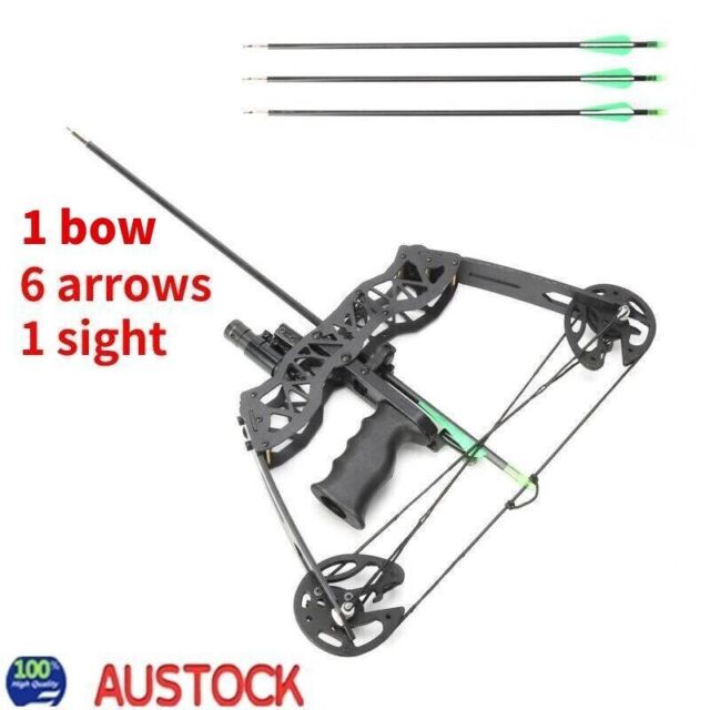 35lbs Archery Bow and Arrow Compound Bow with Bow Sight & Arrow Set for Hunting NY10527 35lbs Archery Bow and Arrow Compound Bow with Bow Sight & Arrow Set for Hunting NY10527