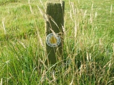 Photo 6x4 Sign post close up Froxfield/SP9733 Small signpost that is alm c2009