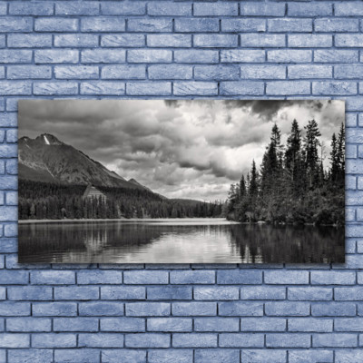 Impression sur verre Image Tableau 140x70 Nature Forêt