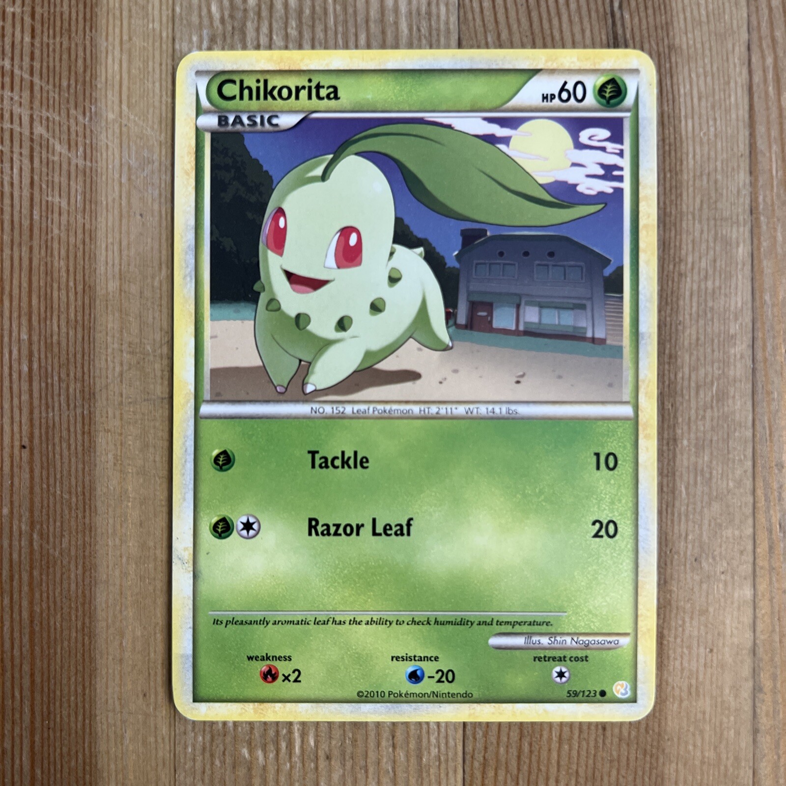 Pokémon TCG Chikorita Heartgold Soulsilver 59/123 Regular Common LP