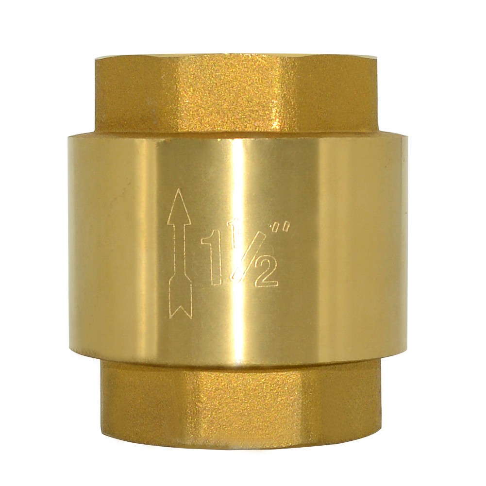 1/2“ 1” 2“ 1-1/2” one way Vertical Check Valve NPT threaded Spring Loaded Brass