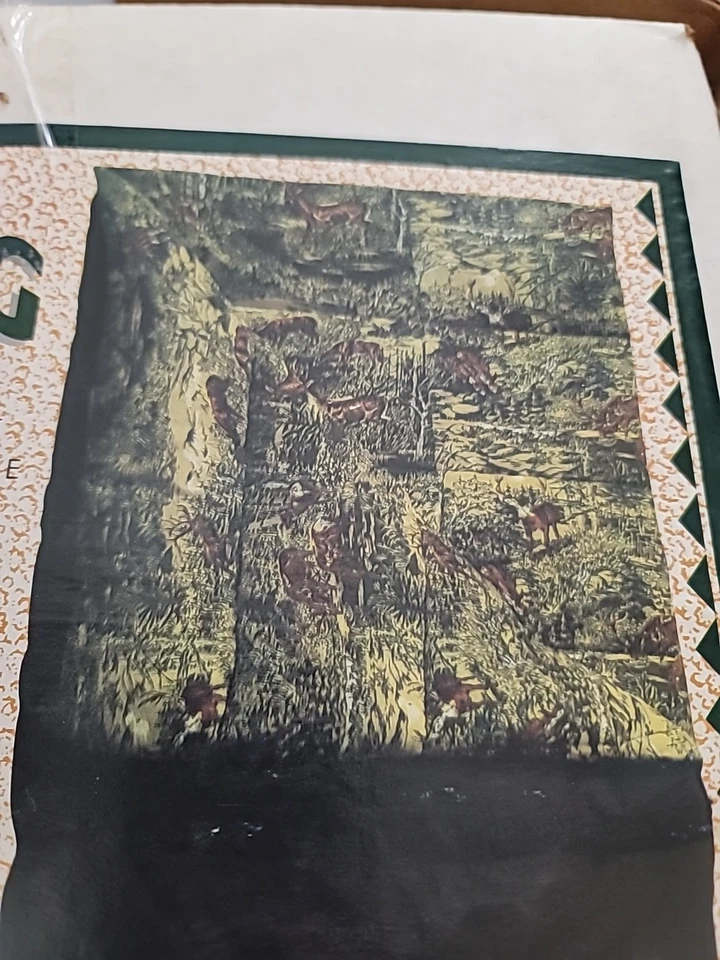 Saco de dormir American Trails 39x80 4 lb funda de algodón/forro de franela DE COLECCIÓN NOB Foto 3 de 4