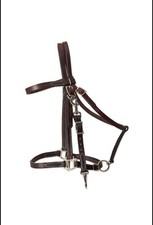 Western Brown Leather Halter Bridle with stainless steel hardware