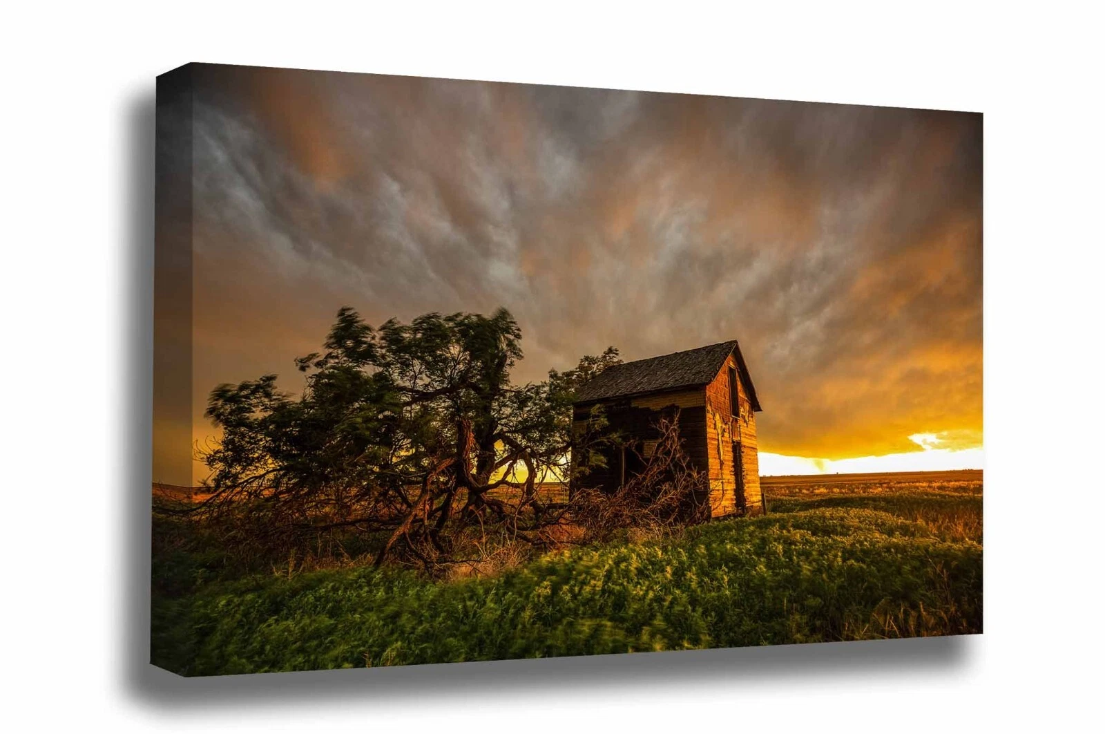 Barn Canvas: Oklahoma Prairie Farm Country Rural Stormy Sunset Plains Wall Art