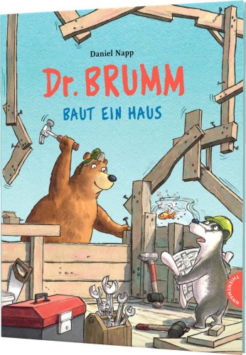 Dr. Brumm: Dr. Brumm baut ein Haus [German] by Napp, Daniel [Hardback]